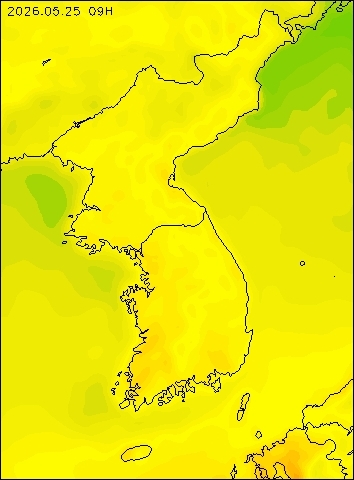 2026-05-25 09 : 00