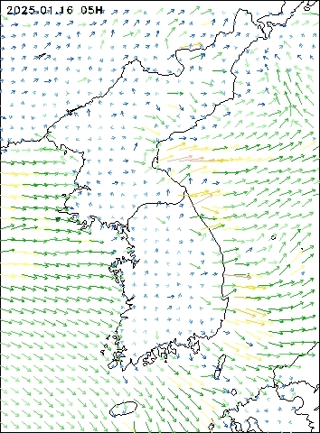 2025-01-16 05 : 00