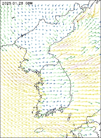 2025-01-28 08 : 00