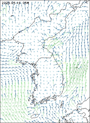 2025-05-16 05 : 00