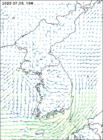 2025-07-08 19 : 00