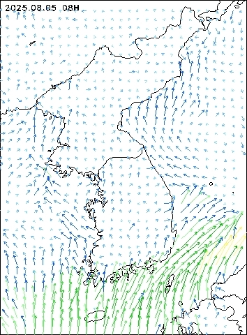 2025-08-05 08 : 00