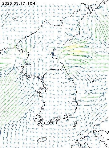 2025-08-17 10 : 00