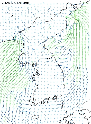 2025-08-18 08 : 00