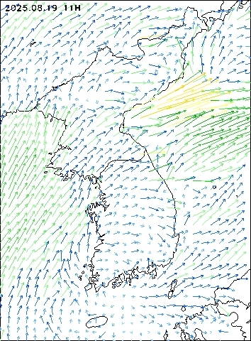 2025-08-19 11 : 00