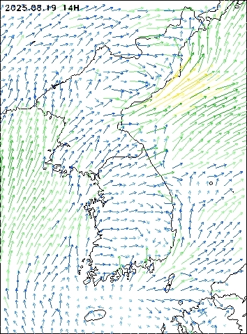 2025-08-19 14 : 00