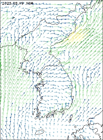 2025-08-19 16 : 00