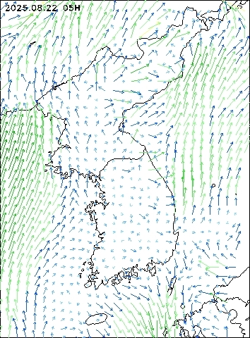 2025-08-22 05 : 00