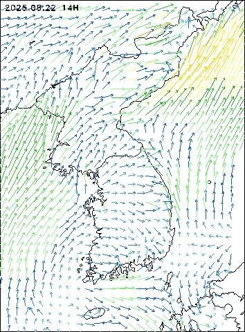 2025-08-22 14 : 00