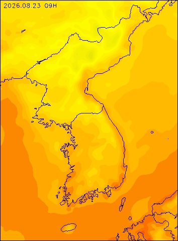 2026-08-23 09 : 00
