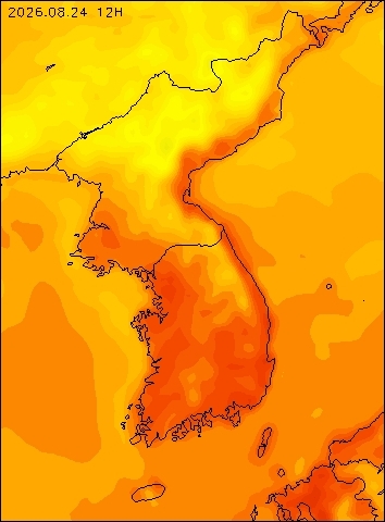 2026-08-24 12 : 00