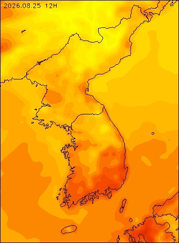 2026-08-25 12 : 00