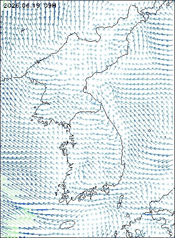 2026-06-19 09 : 00