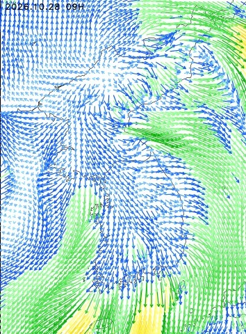 2026-10-28 09 : 00